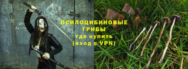PSILOCYBIN Алексеевка