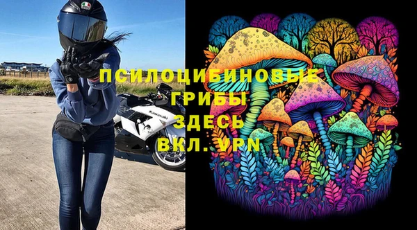 PSILOCYBIN Алексеевка