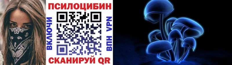Галлюциногенные грибы Magic Shrooms  Николаевск 